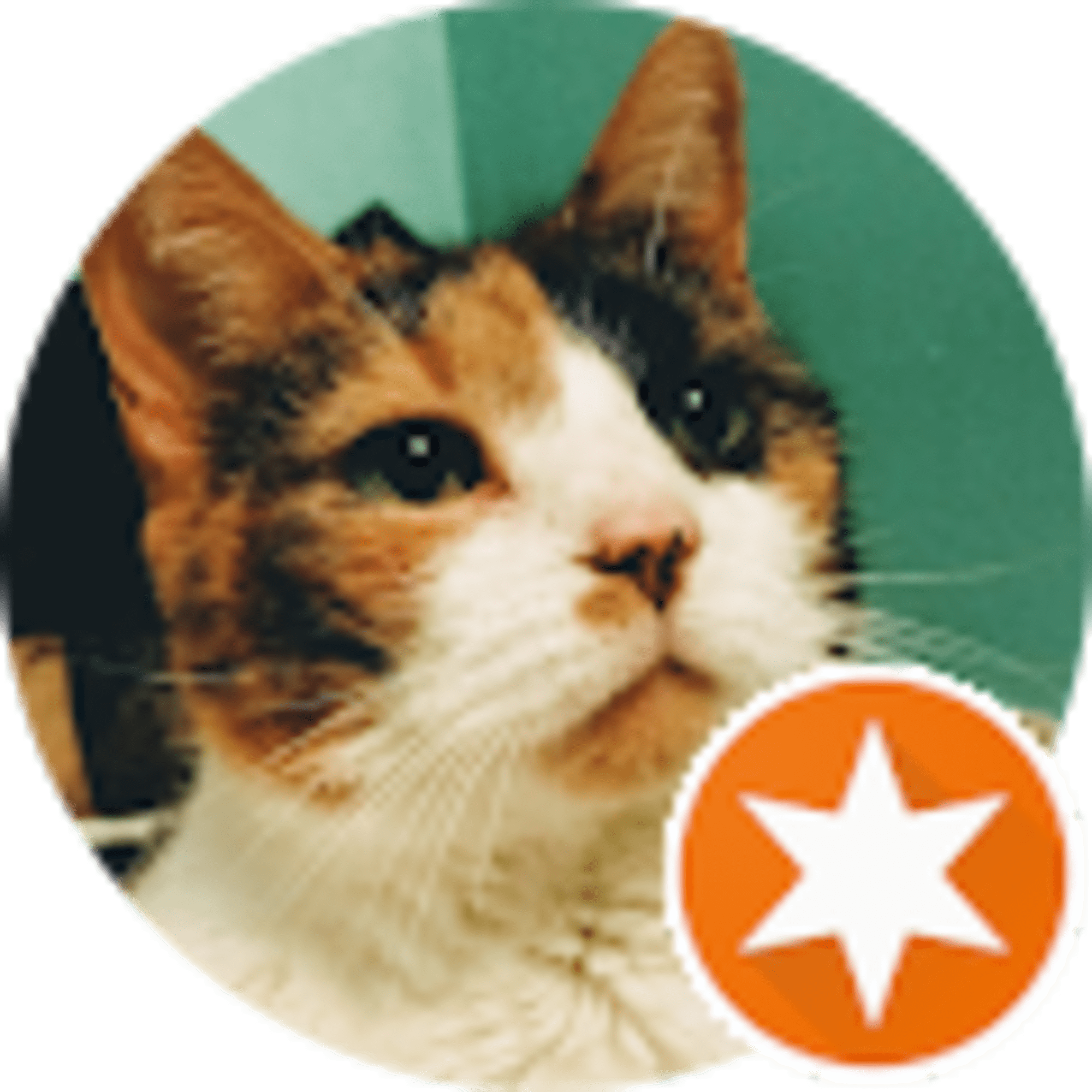 Brenda Sinclair avatar