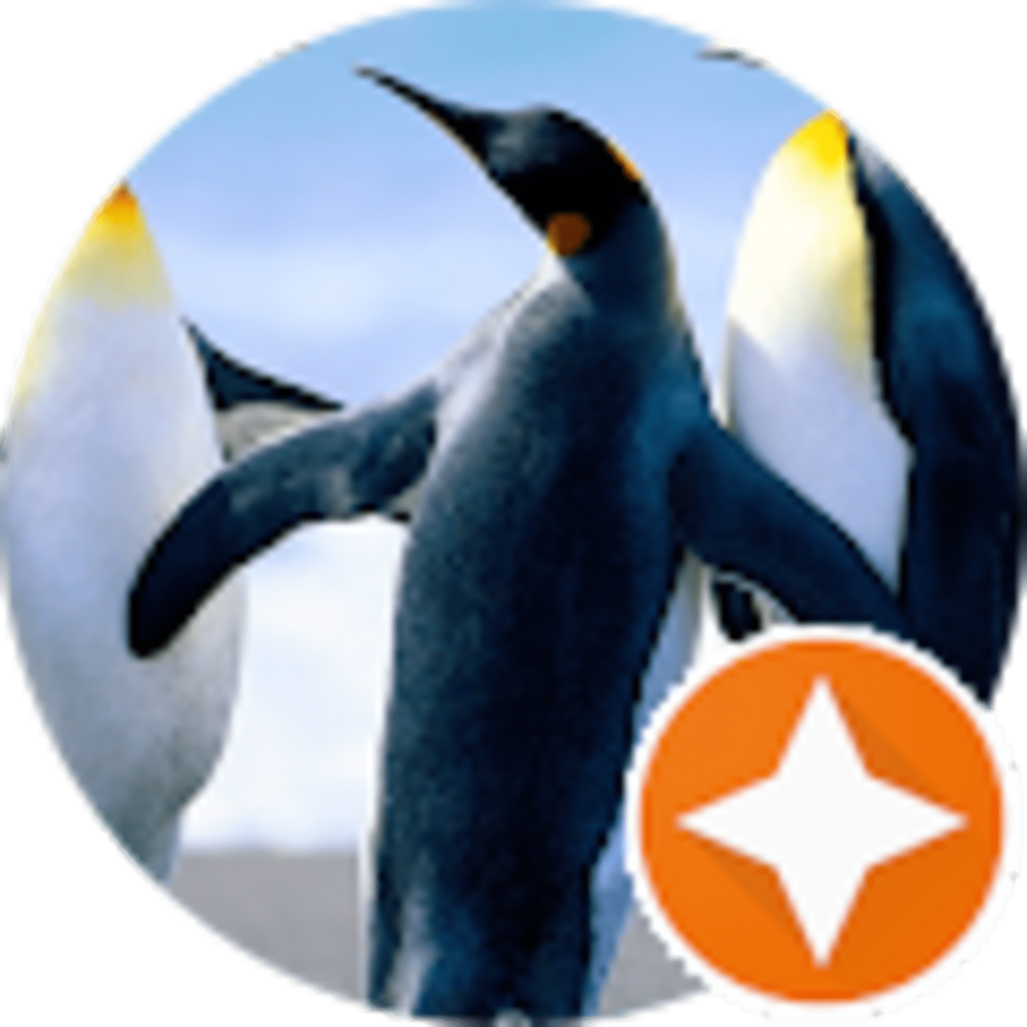 Dan Perry avatar
