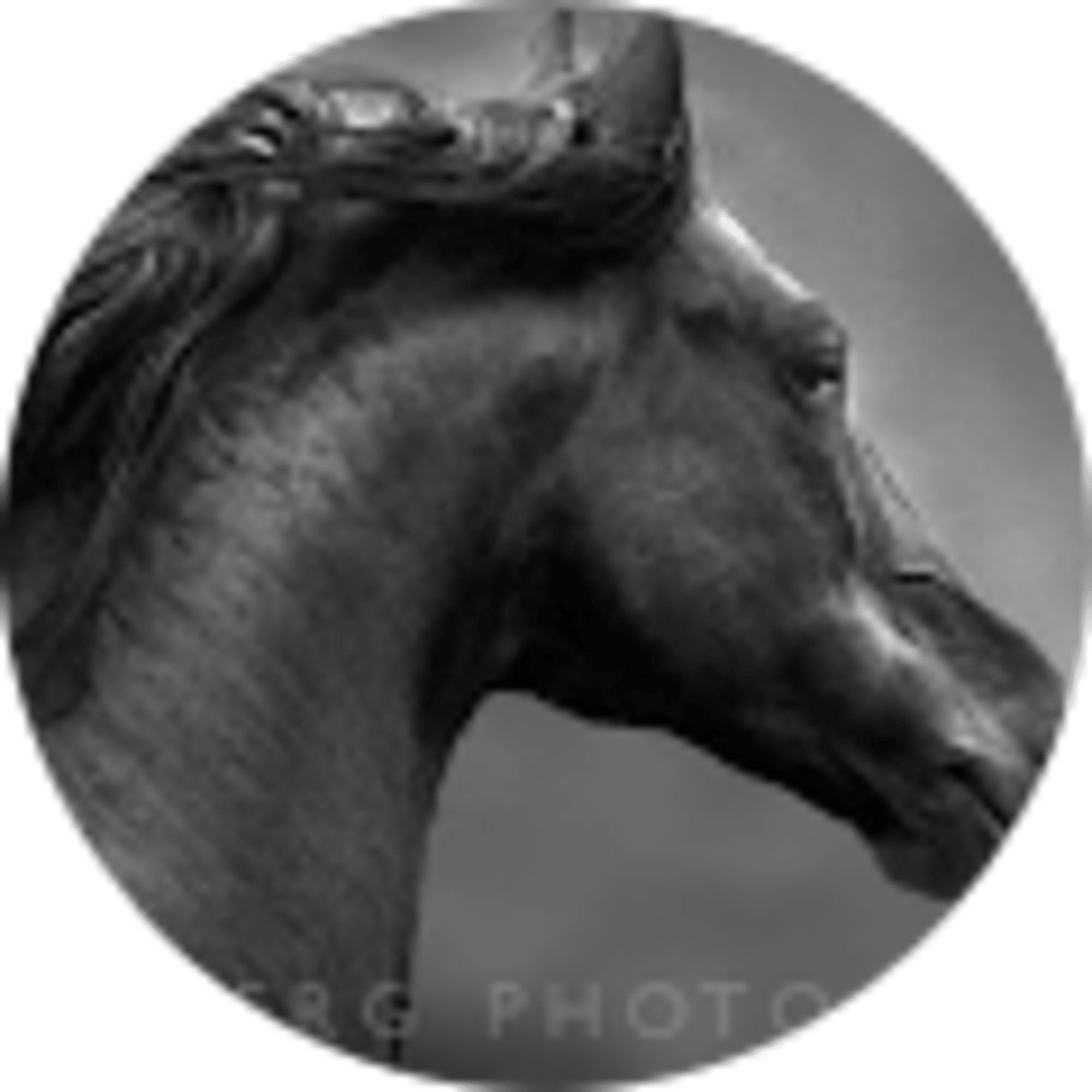 Kristie Daniels avatar