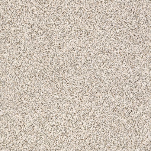 Devon Classic II in Heath - Carpet by Shaw Flooring