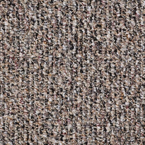 St. Carlton 12 in Firewood - Carpet by Shaw Flooring