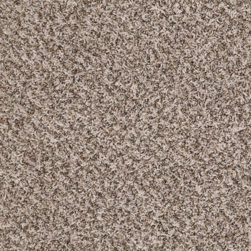 Ride It Out (b) in Winter White - Carpet by Shaw Flooring