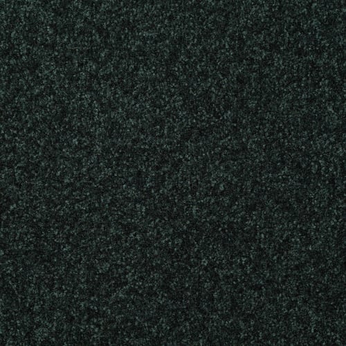 Passageway III 12 in Emerald - Carpet by Shaw Flooring