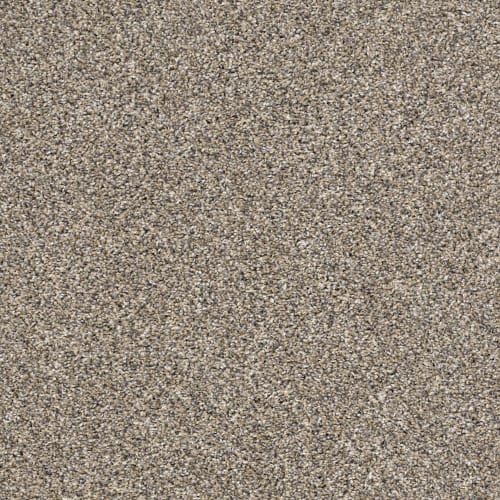 After It I in Pebble Walk - Carpet by Shaw Flooring