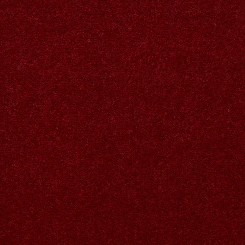 Emphatic II 30 in Garnet Rose - Carpet by Shaw Flooring
