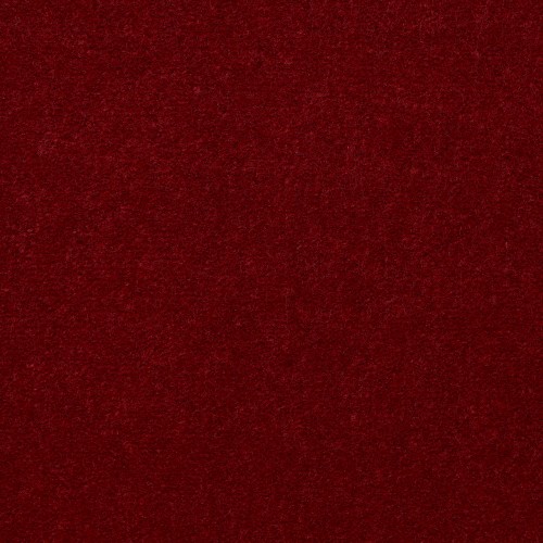 Emphatic II 30 in Garnet Rose - Carpet by Shaw Flooring