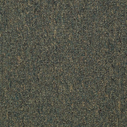 Dividend 26 Unitary in Percentage - Carpet by Shaw Flooring