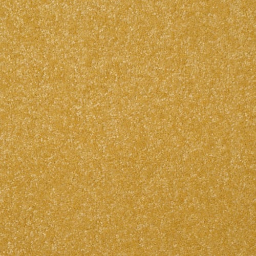 Passageway II 12 in Daffodil - Carpet by Shaw Flooring