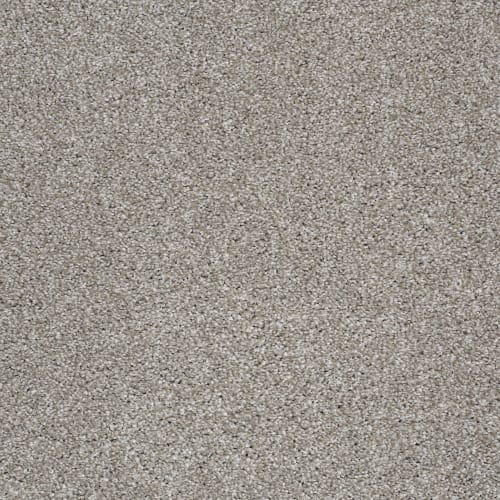 You Know It in Cocoa - Carpet by Shaw Flooring