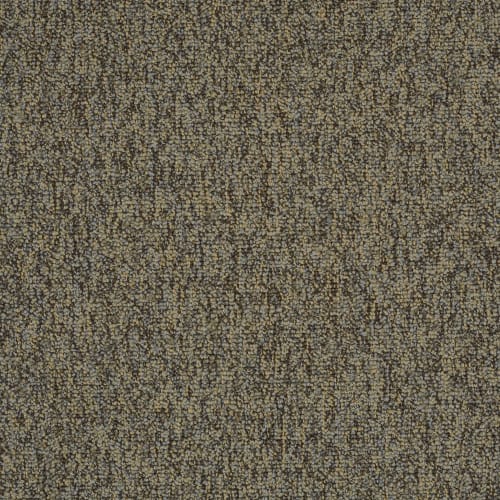 Multiplicity in Oodles - Carpet by Shaw Flooring