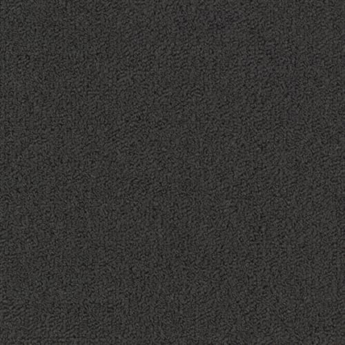 Color Accents Bl in Black - Carpet by Shaw Flooring
