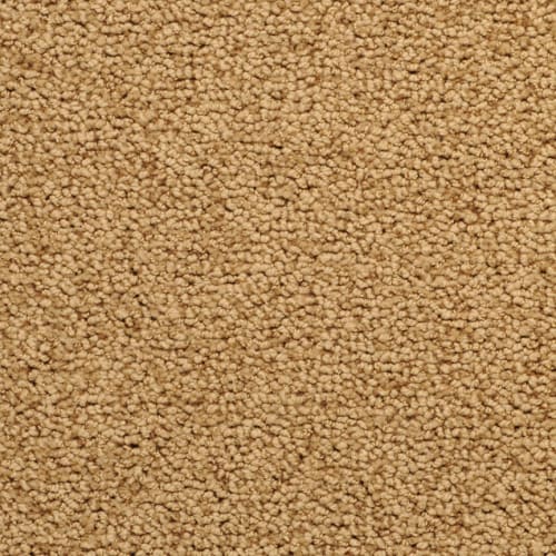 Corniche in Rosewood - Carpet by Masland Carpets