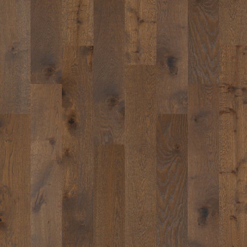 Castlewood Oak in Arrow - Hardwood by Shaw Flooring