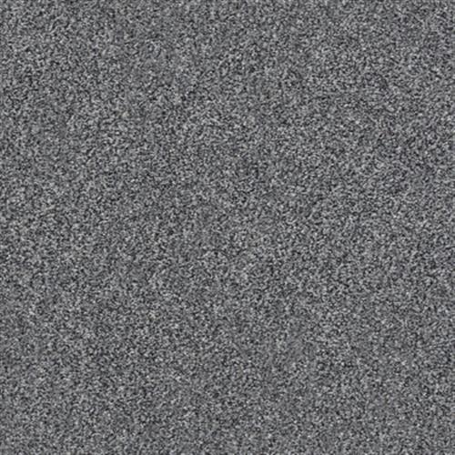 Xz149 Net in Heather Gray - Carpet by Shaw Flooring