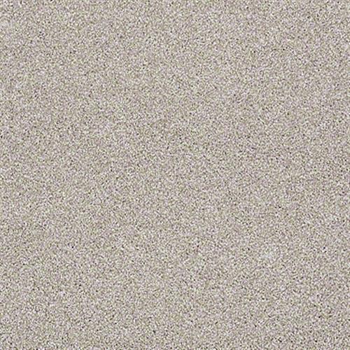 Xvn07 (t) in Doeskin - Carpet by Shaw Flooring