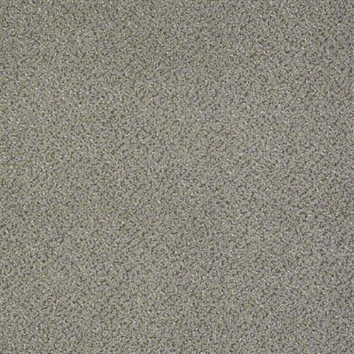 Prestige in Importance - Carpet by Shaw Flooring