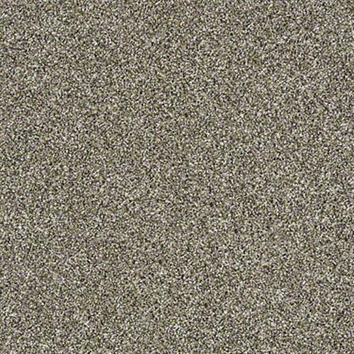 Work The Color in Park Trail - Carpet by Shaw Flooring