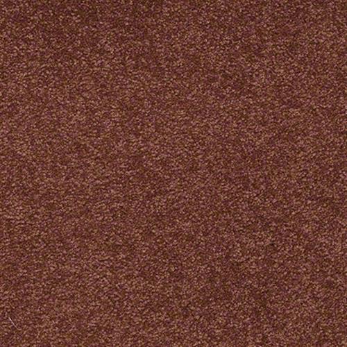 Sandy Hollow I 12' in Spanish Tile - Carpet by Shaw Flooring