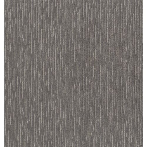 Purrfect Match in Eclipse - Carpet by Shaw Flooring