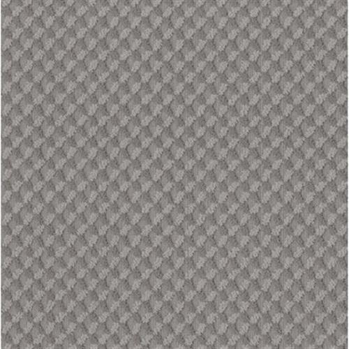 Inspired Design in Grounded Gray - Carpet by Shaw Flooring