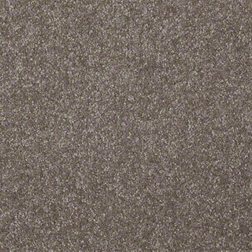 Harborfields II 12' in Field Stone - Carpet by Shaw Flooring