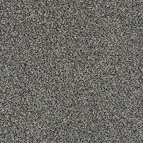 All About It in Meteorite - Carpet by Shaw Flooring