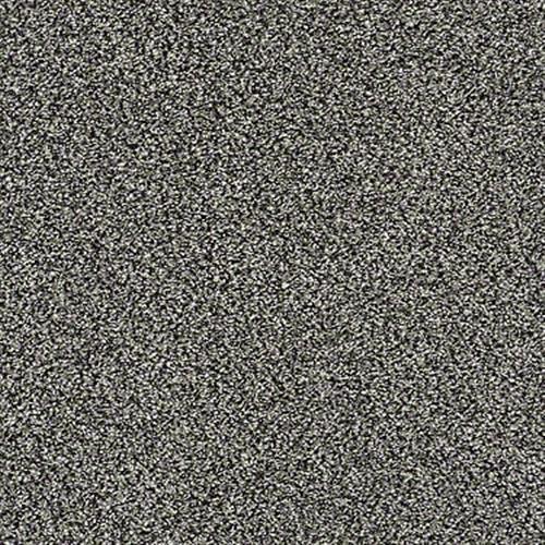 All About It in Meteorite - Carpet by Shaw Flooring