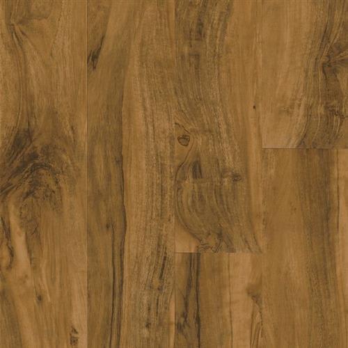 Vivero Best Glue Down in Kingston Walnut  Clove - Vinyl by Armstrong