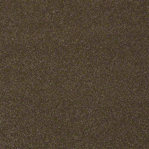 Cooper in Derby Brown - Carpet by Shaw Flooring