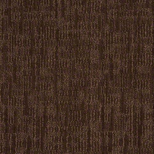 Elsmere in Coffee Bean - Carpet by Shaw Flooring