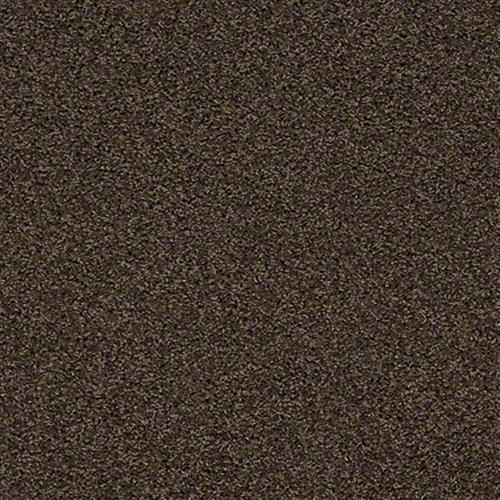 I Feel Fine II in Brownstone - Carpet by Shaw Flooring