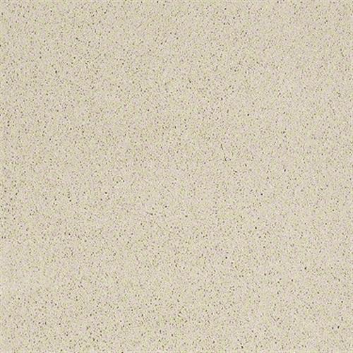 Cashmere II in Soft Fleece - Carpet by Shaw Flooring