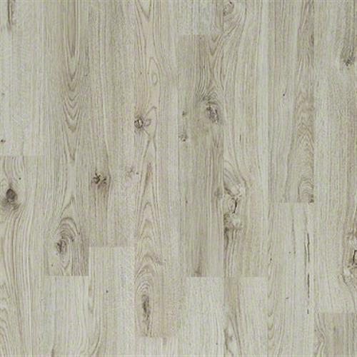 Vision Works in Stonington Haze - Laminate by Shaw Flooring