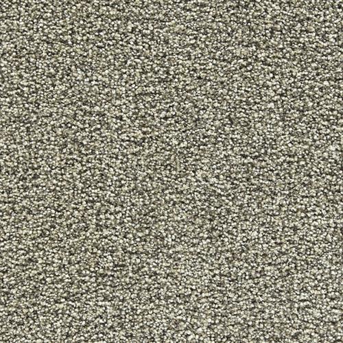 World Class in Latte - Carpet by Marquis Industries