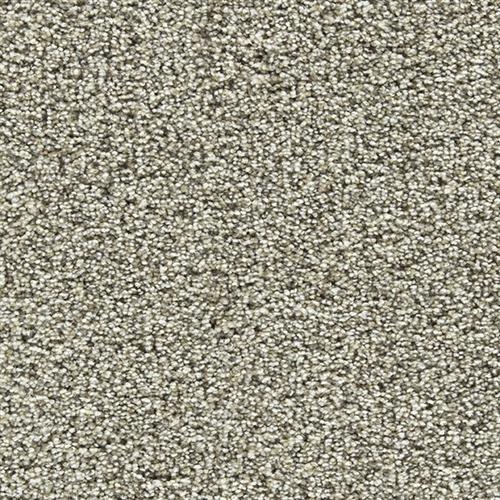 Snazzy in Birch Bark - Carpet by Marquis Industries