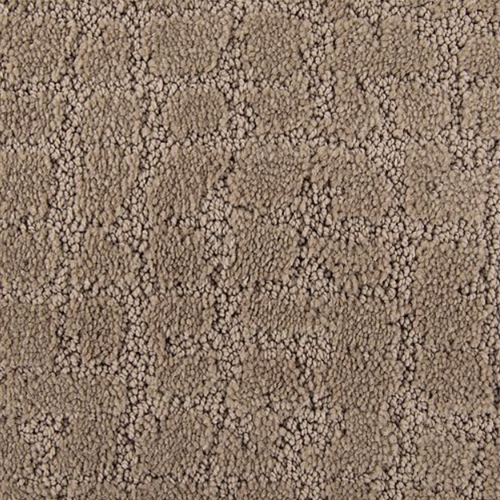 Luxurious Debut in Clay Trail - Carpet by Mohawk Flooring