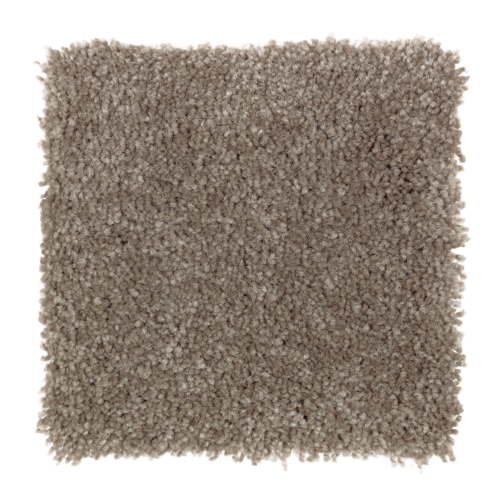Delightful Cheer in Twig - Carpet by Mohawk Flooring