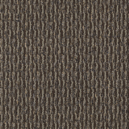 Room Scene of Ruminate - Carpet by Mohawk Flooring