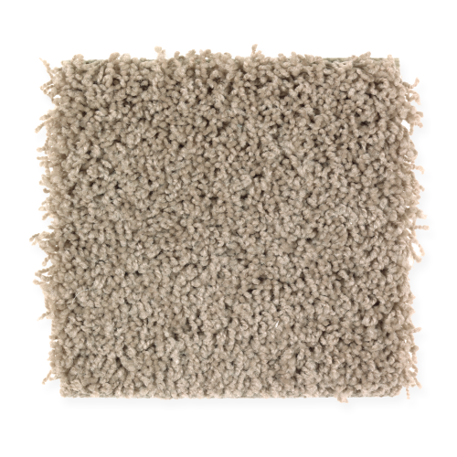Precious Expression in Winter Leaf - Carpet by Mohawk Flooring