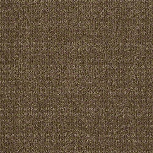 Room Scene of Step Up - Carpet by Shaw Flooring