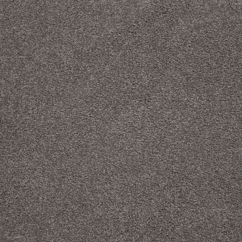 Memorable View in Hearthstone - Carpet by Mohawk Flooring
