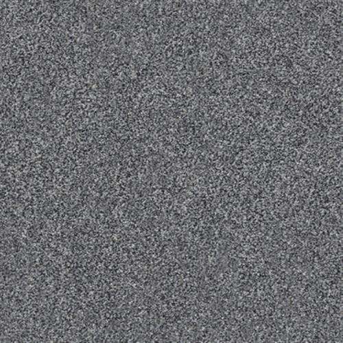 Room Scene of Xz149 Net - Carpet by Shaw Flooring