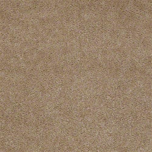 Room Scene of Cedar Creek - Carpet by Shaw Flooring