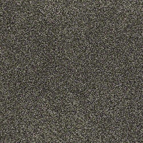 Room Scene of Imagine This II - Carpet by Shaw Flooring
