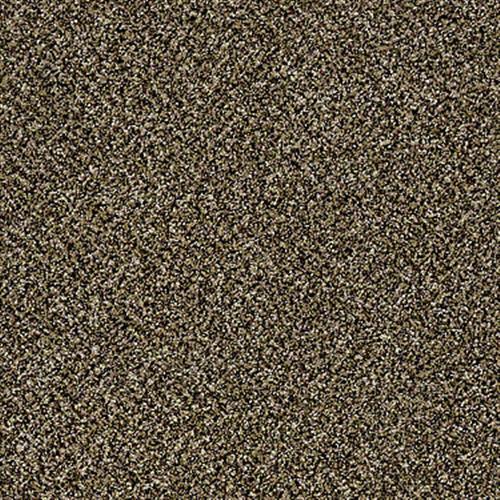 Room Scene of Causeway III - Carpet by Shaw Flooring