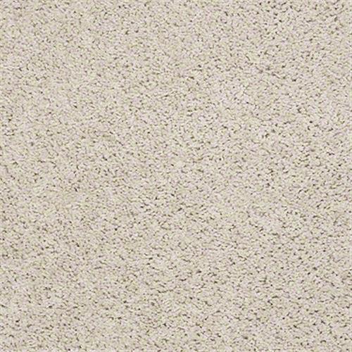 Room Scene of Cardinal - Carpet by Shaw Flooring
