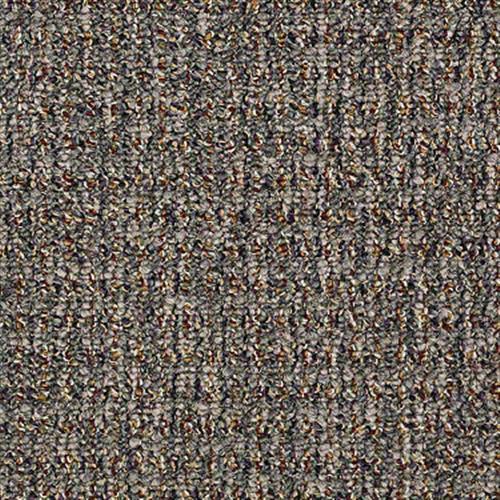Room Scene of On The Cover - Carpet by Shaw Flooring