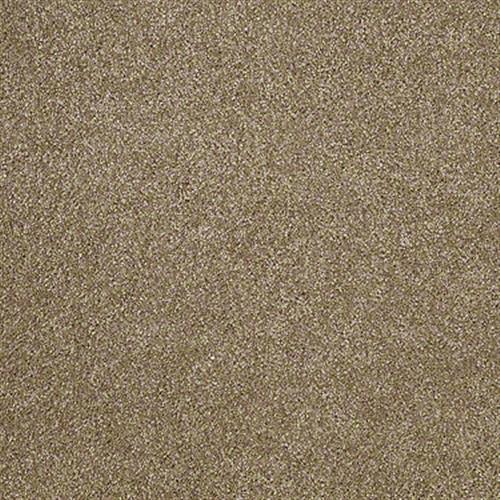 Room Scene of Xvn04 - Carpet by Shaw Flooring