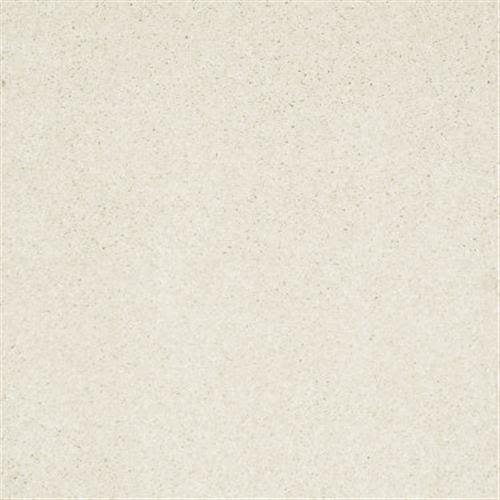 Room Scene of Take The Floor Texture II Net - Carpet by Shaw Flooring