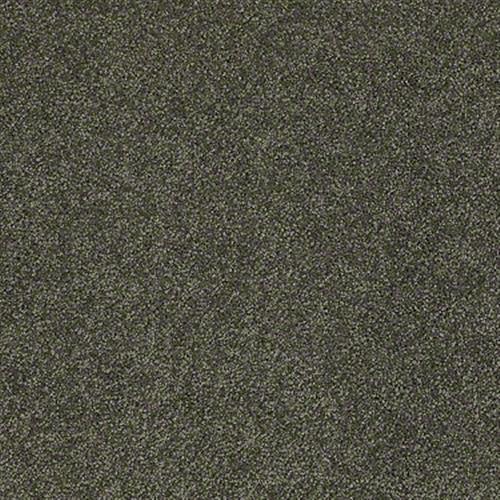 Room Scene of Fabuloso - Carpet by Shaw Flooring